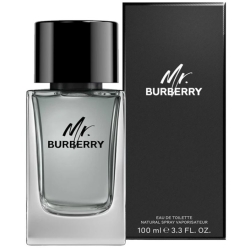 BURBERRY MR. BURBERRY 100ml woda toaletowa